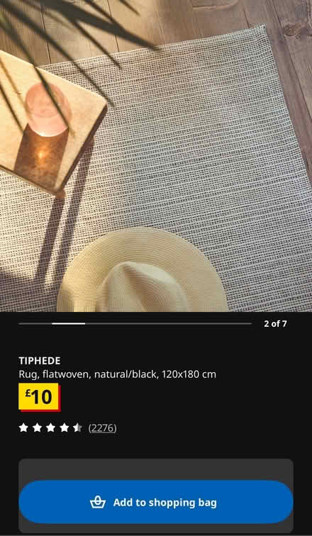Photo of free 2 small mats and rug (Kings Buildings EH9) #4