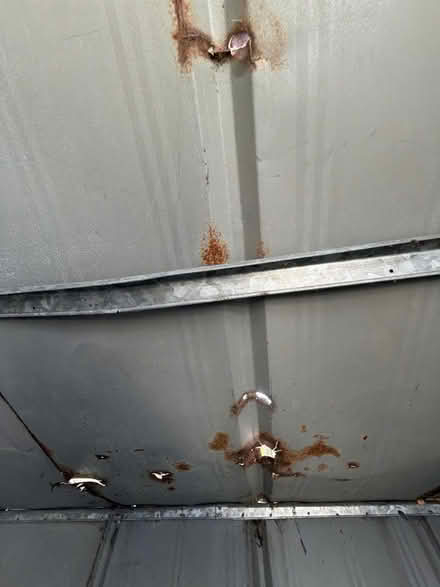 Photo of free old galvanised shed (Upper Clapton E5) #4