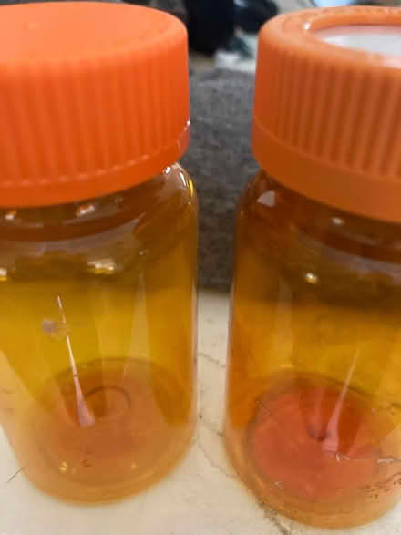 Photo of free Medicine bottles (Littleton) #1