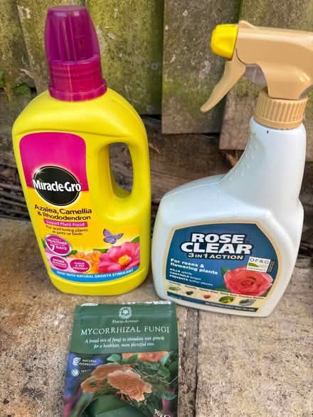 Photo of free Acid loving plant food & rose spray (Widcombe BA2) #1
