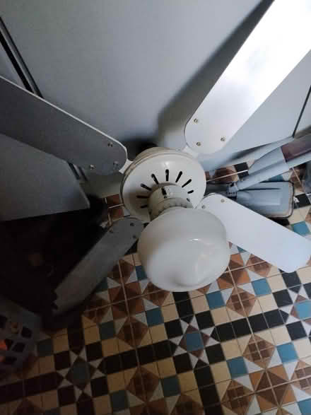 Photo of free Ceiling Fan (wellingborough NN8) #1