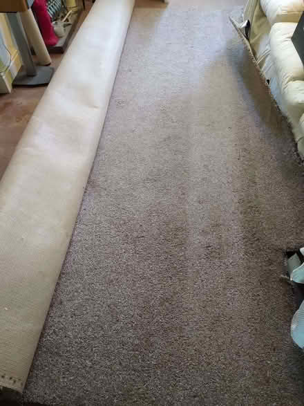 Photo of free Large piece of carpet (Carlisle CA1) #1