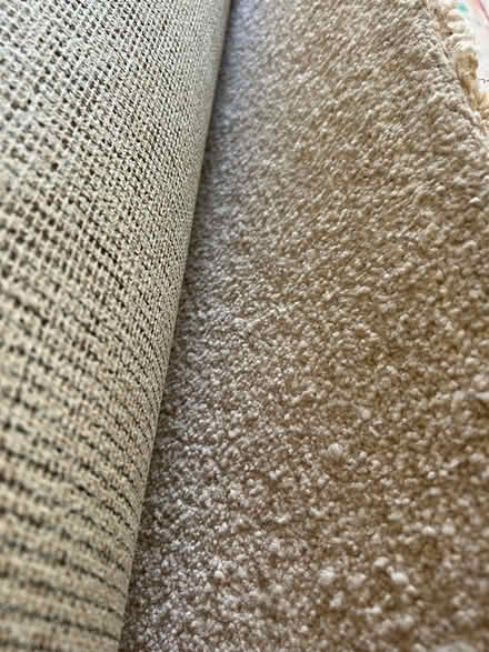 Photo of free Cream bedroom carpet (Ecclesall S11) #2