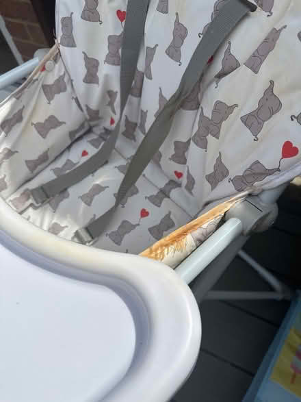 Photo of free Baby high hair (Walderslade ME5) #2
