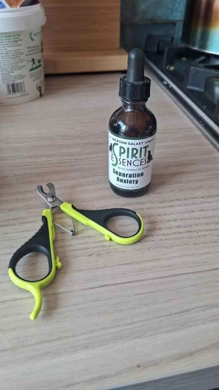 Photo of free Animal anxiety oil and clippers (SL6 Taplow) #1