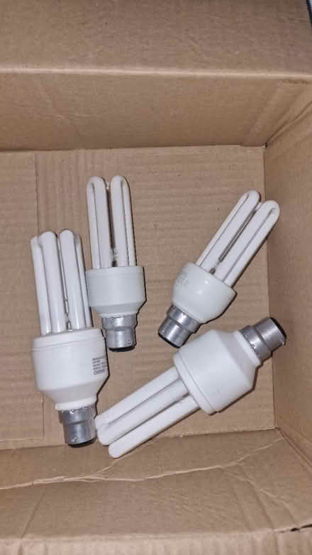 Photo of free 4 energy saving light bulbs (Earl Shilton, LE9) #1