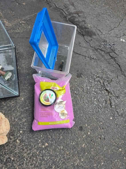 Photo of free Reptile starter set (Raritan Twsp) #2