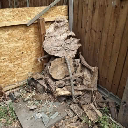 Photo of free 'Driftwood ' and logs (Kentish Town NW5) #2