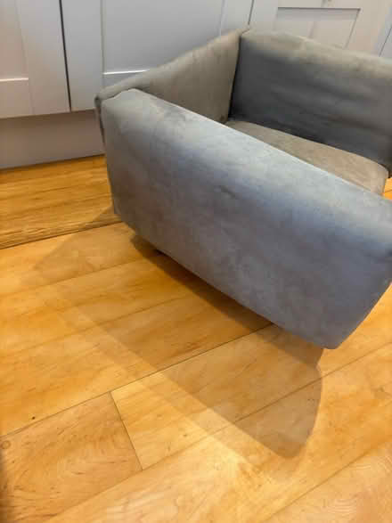 Photo of free Dog sofa (Chelsea london) #2