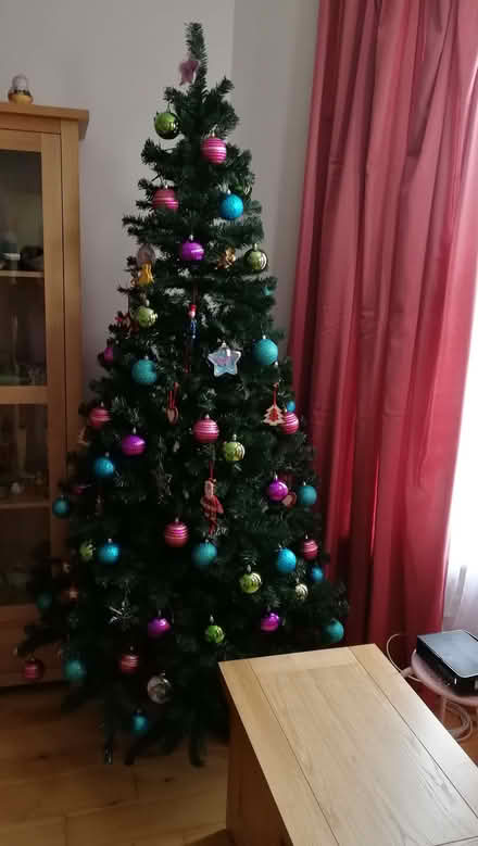 Photo of free 6ft Christmas tree (Torre TQ2) #1