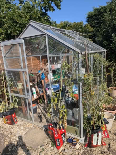 Photo of free Greenhouse (Weston BA1) #2