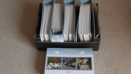 Photo of free Birds of Britain folders (St Albans AL4) #1
