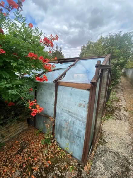 Photo of free Greenhouse (Trumpington Ward CB2) #4