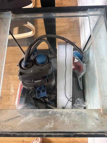 Photo of free Aquarium (Putney SW15) #2