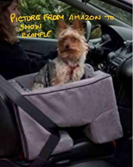 Photo of free Little dog car booster seat (Cherry Hinton CB1) #1