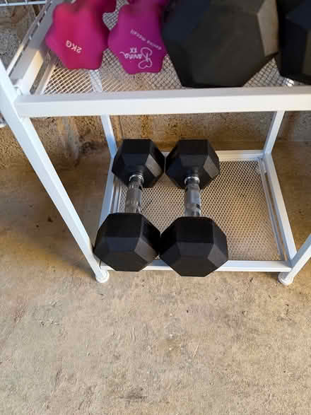 Photo of free Gym equipment / weights / trolly (Bloxham OX15) #4