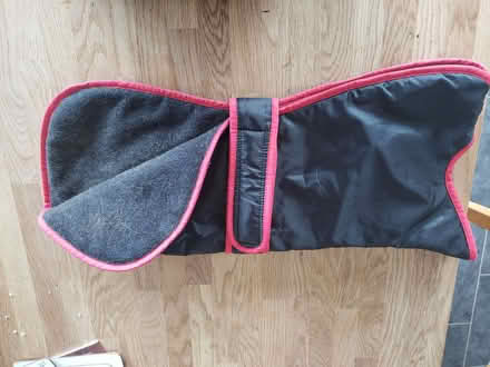 Photo of free Waterproof lined dog coat (Great Asby CA16) #1