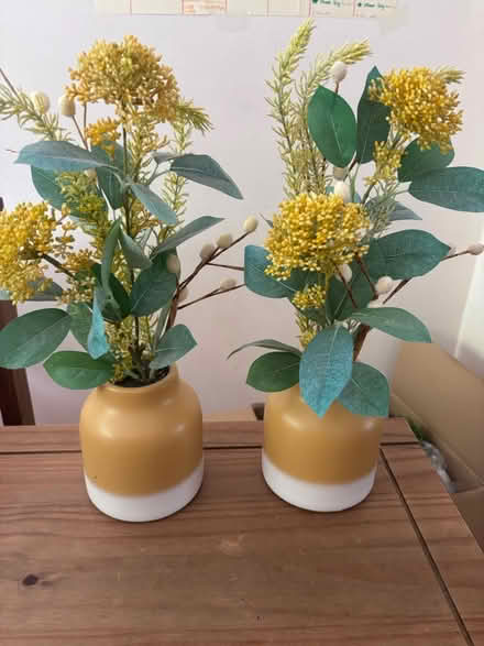 Photo of free Faux flower ornamental vase 2x (Hemel Hempstead HP2) #1