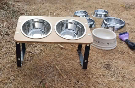 Photo of free Cat food bowls and scratching tree (West Hitchin SG5) #2