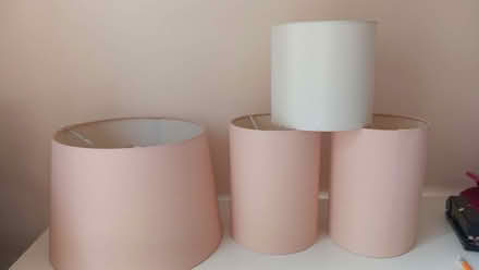 Photo of free Lampshades (Lexden CO3) #1