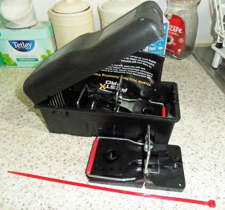 Photo of free Mouse/Rat traps (Langley SL3) #1
