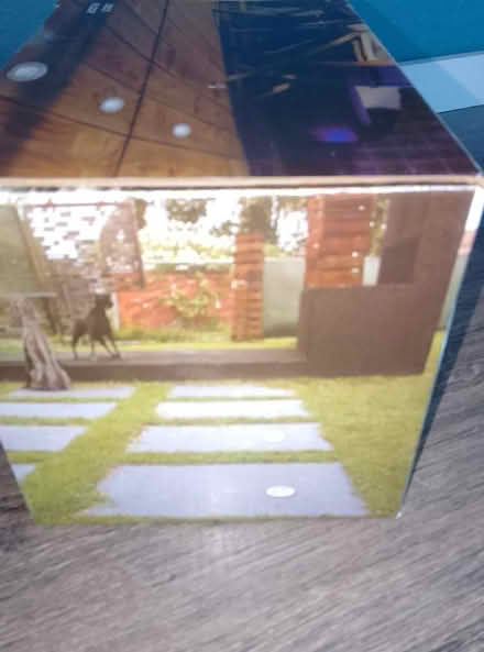 Photo of free Lights (ladybank ky15) #3