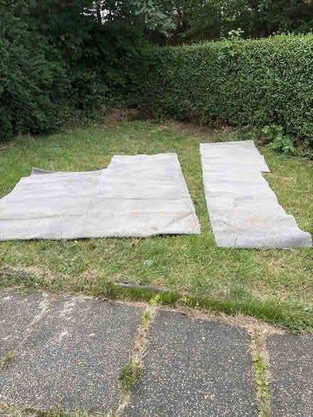 Photo of free 2 Pieces Carpet (Wrekenton NE10) #1