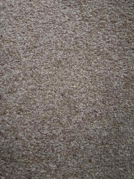 Photo of free Large piece of carpet (Carlisle CA1) #2