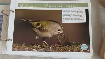 Photo of free Birds of Britain folders (St Albans AL4) #2