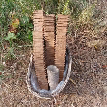 Photo of free compostable mini-plant pots (Binsey OX2) #1