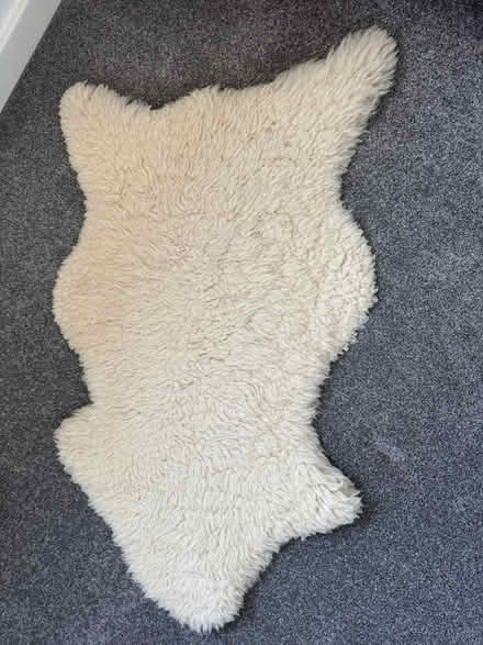 Photo of free Sheepskin rug (Oakwood Derby) #1