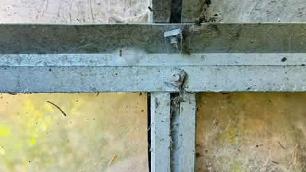 Photo of free Neglected greenhouse (Aspull Moor WN2) #2
