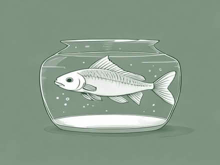 Photo of A bigger fish tank... (Dunfermline KY12) #1