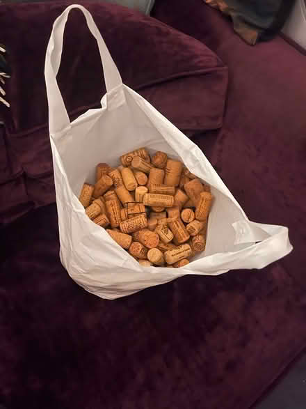 Photo of free Big bag of corks (Trumpington Ward CB2) #1