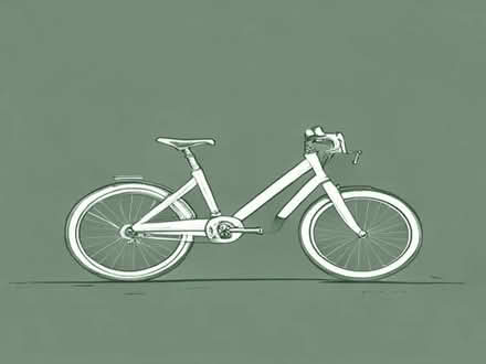 Photo of 8 years bike (Shiregreen S5) #1