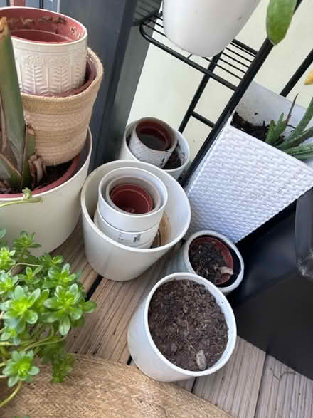 Photo of free Pots and 1/3 sack of compost soil (Camberwell SE5) #3