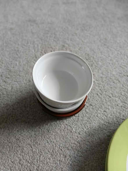 Photo of free Green large & medium plates (heaton mersey SK4) #3