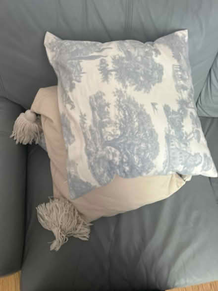 Photo of free Pillows (Cloudesley N1) #2