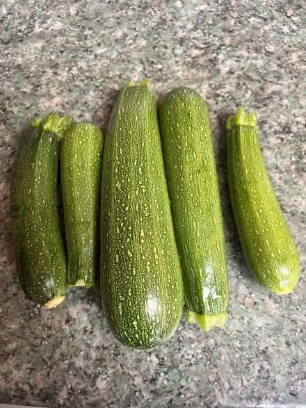 Photo of free Courgettes (Farnborough GU14) #1