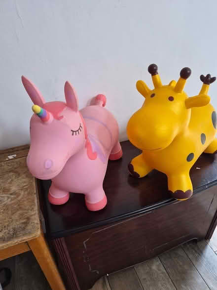 Photo of free Bouncy Pony & Giraffe (Leicester) #1