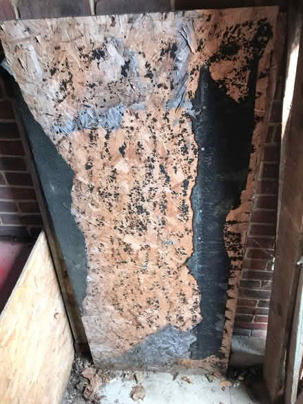 Photo of free OSB Sheets (Ramsgate CT10) #1