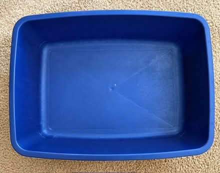 Photo of free Cat Litter Pan (Cupertino - DeAnza and 280) #1