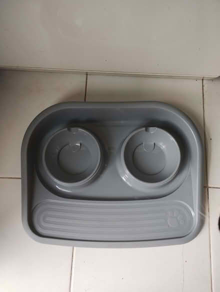 Photo of free Pet feeding (Saint James Ward EX4) #1