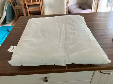 Photo of free 2 Large cushion inserts (Weston Park BA1) #1