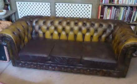 Photo of free 3 seater leather Chesterfield sofa (Barton Bendish PE33) #1