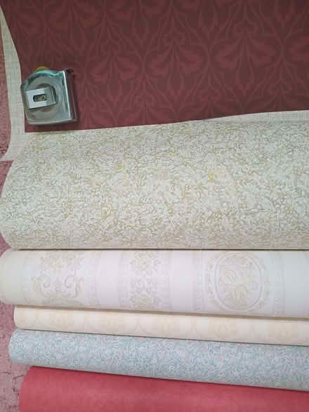 Photo of free wallpaper bits (Eastbourne BN20) #2