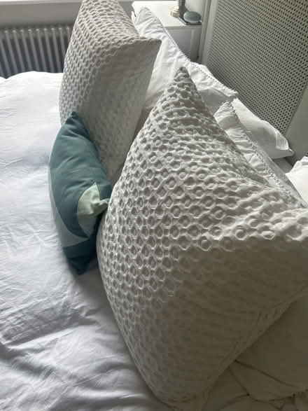Photo of free Pillows (Cloudesley N1) #1