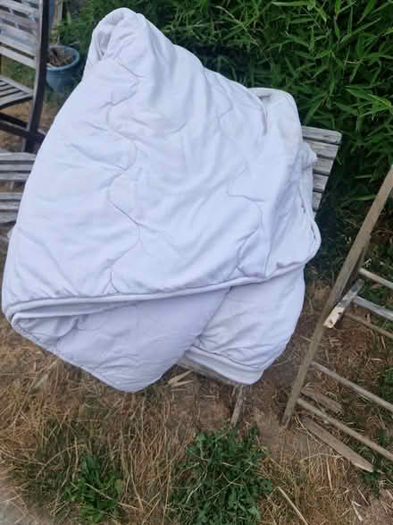 Photo of free Old double mattress topper (animals (Snodland ME6) #1