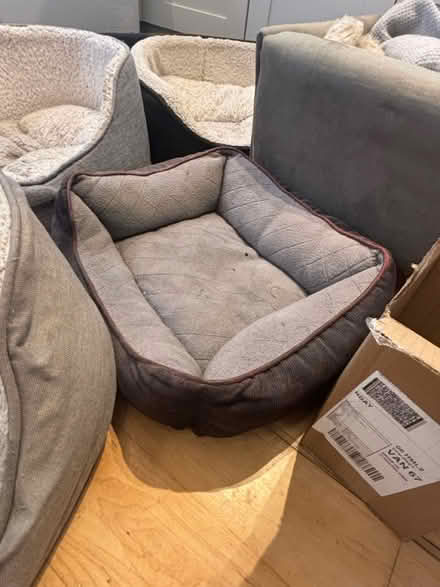Photo of free Dog beds (Chelsea london) #3