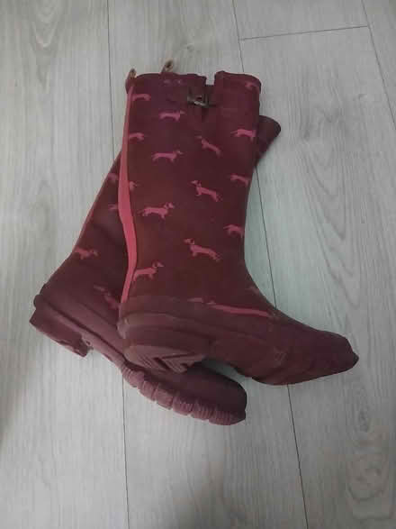 Photo of free Ladies wellies size 5 (Bromley North BR1) #1